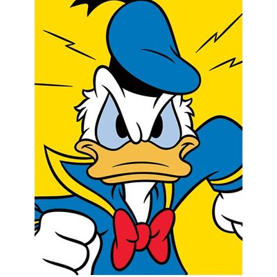 Donald Duck (Mad) , 60 x 80cm , PPR40343
