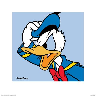 Donald Duck (Blue) , 40 x 40cm , PPR45349