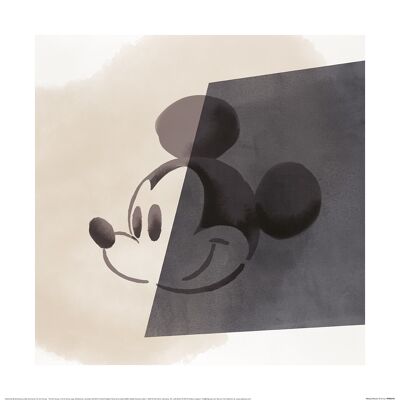 Mickey Mouse , 40 x 40cm , PPR46016