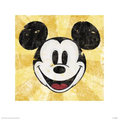 Mickey Mouse (Squeaky Chic) , 40 x 40cm , PPR45354
