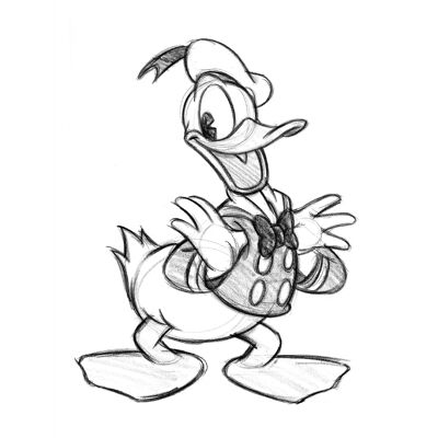Donald Duck (Sketch) , 60 x 80cm , PPR51428