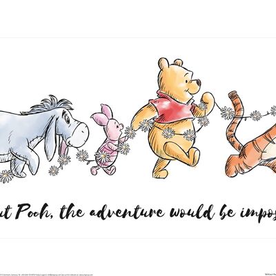 Winnie the Pooh (Without Pooh, the Adventure Would be Impossible) , 30 x 60cm , PPR41751