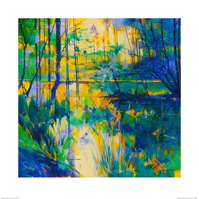 Doug Eaton (Sunlight on Meadowcliff Pond) , 60 x 60cm , PPR46127