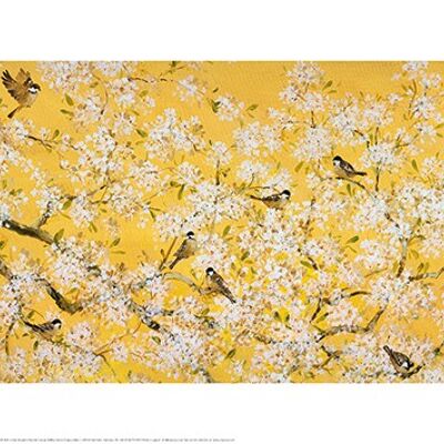 Fletcher Prentice (Blossom On Yellow) , 30 x 60cm , PPR41762