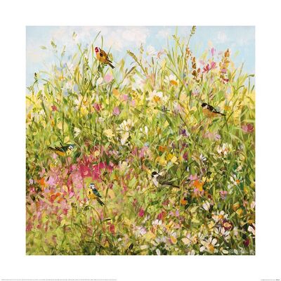 Fletcher Prentice (Field Border) , 60 x 60cm , PPR46412