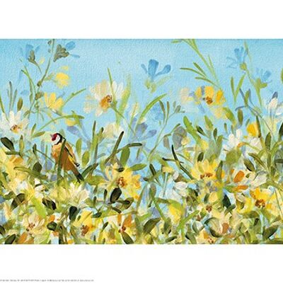 Fletcher Prentice (Garden Goldfinches) , 30 x 60cm , PPR41763