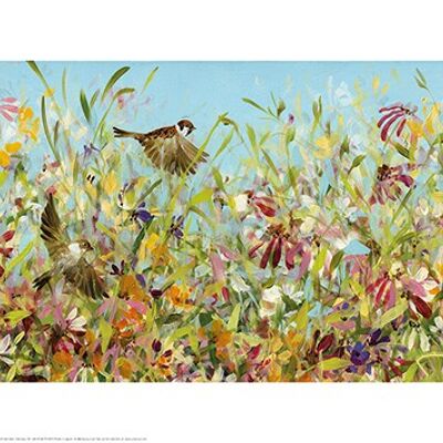 Fletcher Prentice (Meadow Sparrows) , 30 x 60cm , PPR41764