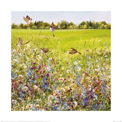 Fletcher Prentice (Open Meadow) , 60 x 60cm , PPR46413