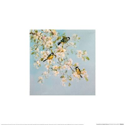 Fletcher Prentice (Song Birds and Apple Blossom) , 30 x 30cm , PPR48553