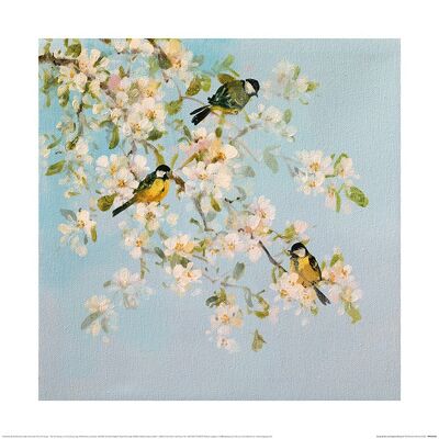 Fletcher Prentice (Song Birds and Apple Blossom) , 40 x 40cm , PPR55058
