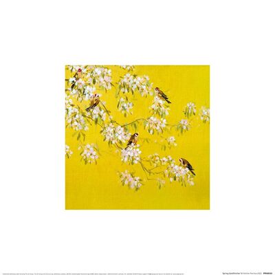 Fletcher Prentice (Spring Goldfinches) , 30 x 30cm , PPR48554