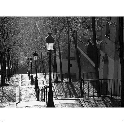 Heiko Lanio (Montmartre, Paris) , 30 x 40cm , PPR44454