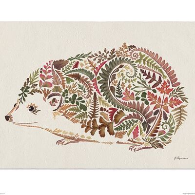 Helen Ahpornsiri (Happy Hedgehog) , 40 x 50cm , PPR43725