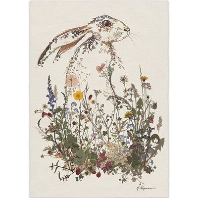 Helen Ahpornsiri (Hiding Hare) , 30 x 40cm , PPR44800