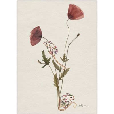 Helen Ahpornsiri (Wild Poppies) , 30 x 40cm , PPR44798