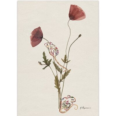 Helen Ahpornsiri (Wild Poppies) , 30 x 40cm , PPR44798