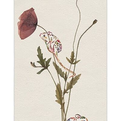 Helen Ahpornsiri (Wild Poppies) , 30 x 60cm , PPR41718