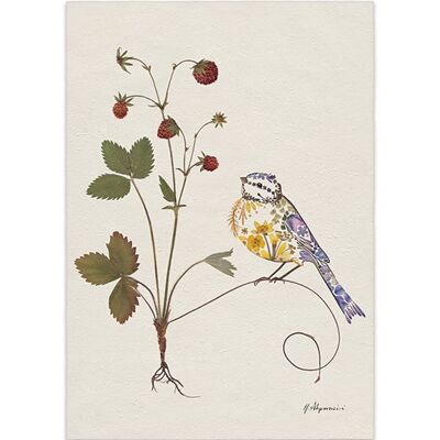 Helen Ahpornsiri (Wild Strawberries) , 30 x 40cm , PPR44799