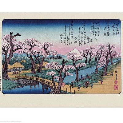 Hiroshige (Mount Fuji Koganei Bridge) , 40 x 50cm , PPR43645
