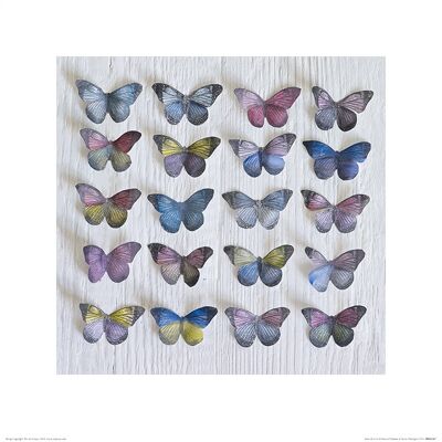 Howard Shooter (Butterfly Grid) , 40 x 40cm , PPR45367