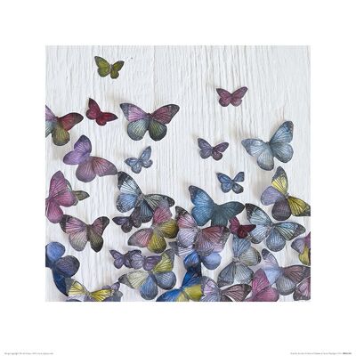 Howard Shooter (Butterfly Random) , 40 x 40cm , PPR45369