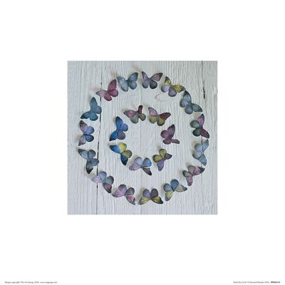 Howard Shooter (Butterfly Circle) , 30 x 30cm , PPR48159
