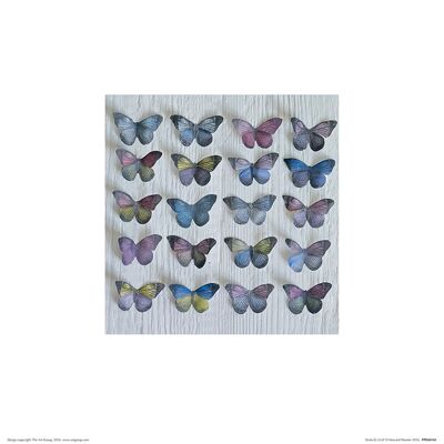 Howard Shooter (Butterfly Grid) , 30 x 30cm , PPR48160