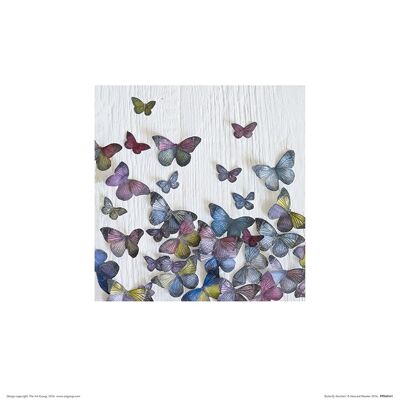 Howard Shooter (Butterfly Random) , 30 x 30cm , PPR48161