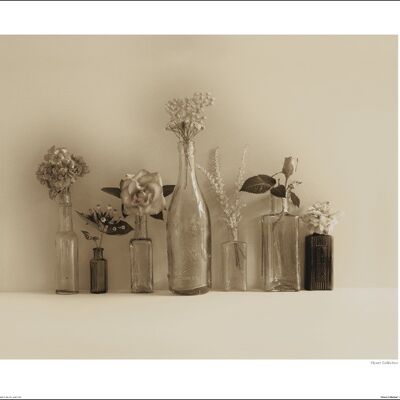 Ian Winstanley (Flower Collection) , 40 x 50cm , 22670