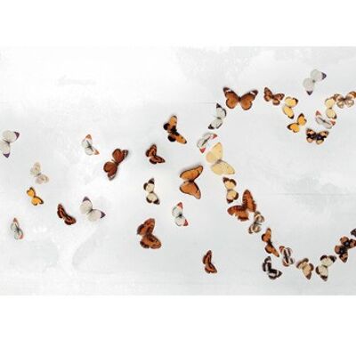 Ian Winstanley (Butterfly Heart) , 50 x 100cm , 45385