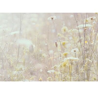 Ian Winstanley (Summer Meadow) , 50 x 100cm , PPR41077