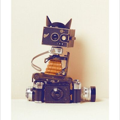Ian Winstanley (Robot Cat) , 40 x 50cm , PPR43175