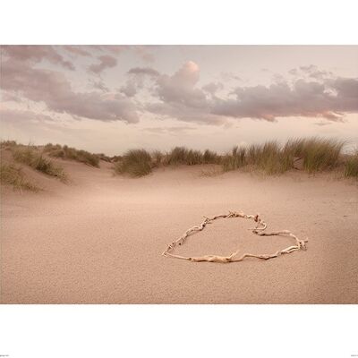 Ian Winstanley (Love in the Dunes) , 40 x 50cm , PPR43268