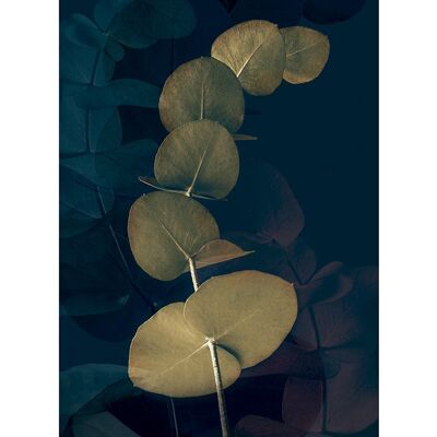 Ian Winstanley (Dark Tropics I) , 30 x 40cm , PPR44891