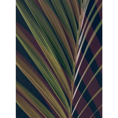 Ian Winstanley (Dark Tropics II) , 30 x 40cm , PPR44892