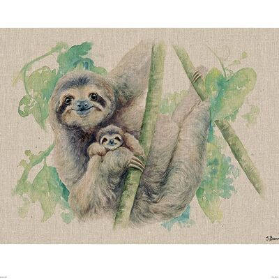 Jane Bannon (Live Life in the Sloth Lane) , 40 x 50cm , PPR43607