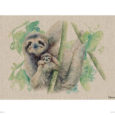 Jane Bannon (Live Life in the Sloth Lane) , 30 x 40cm , PPR44655