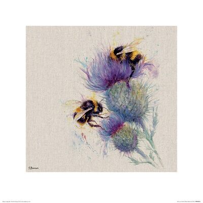 Jane Bannon (Bees on Thistle) , 40 x 40cm , PPR45872