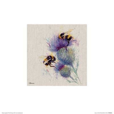 Jane Bannon (Bees on Thistle) , 30 x 30cm , PPR48295