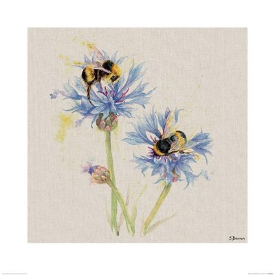 Jane Bannon (Bees on Cornflowers) , 60 x 60cm , PPR46336