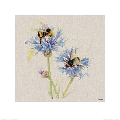 Jane Bannon (Bees on Cornflowers) , 40 x 40cm , PPR45955