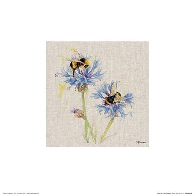 Jane Bannon (Bees on Cornflowers) , 30 x 30cm , PPR48419