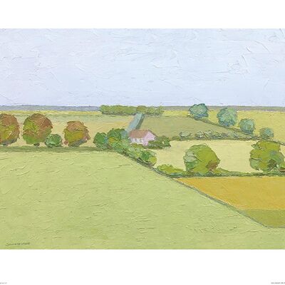 Jane Hewlett (Norfolk Fields) , 40 x 50cm , PPR43661