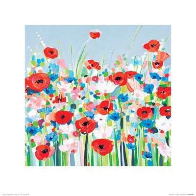 Janet Bell (Cornflowers & Poppies) , 40 x 40cm , PPR45497