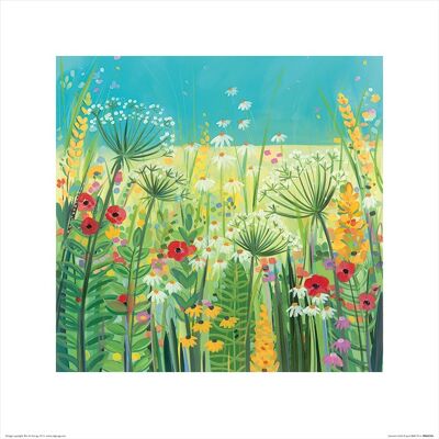 Janet Bell (Summer Fields) , 40 x 40cm , PPR45594