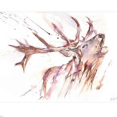 Jennifer Rose (Roar) , 40 x 50cm , PPR43745