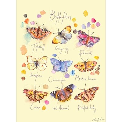 Jennifer Rose (Butterflies) , 30 x 40cm , PPR44868