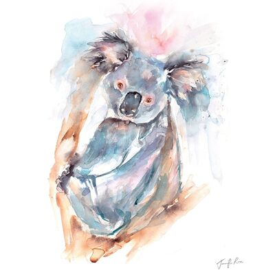 Jennifer Rose (Koala) , 40 x 50cm , PPR43802
