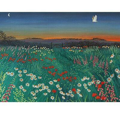 Jo Grundy (Twilight Meadow) , 50 x 100cm , PPR41221