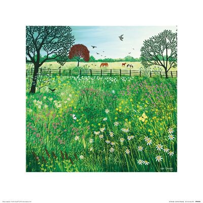 Jo Grundy (Summer Grazing) , 40 x 40cm , PPR45960